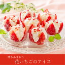 【送料無料】博多あまおう 花いちごのアイス（11個入）洋菓子 スイーツ デザート イチゴ 苺 いちご あまおう 花いちご アイス アイスクリーム ギフト プレゼント 夏ギフト お土産 お祝い パーティー ご褒美 母の日 父の日 お中元