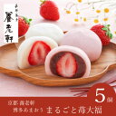 京都 養老軒 博多あまおう まるごと苺大福(5個入)(母の日 2025 花以外 和菓子 お菓子 スイーツ デザート 3000円 アイス クリーム アイス詰め合わ...