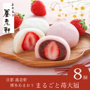 京都 養老軒 博多あまおう まるごと苺大福(8個入)(母の日 2025 花以外 和菓子 お菓子 スイーツ デザート 4000円 アイス クリーム アイス詰め合わ...
