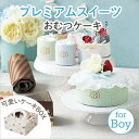 【送料無料】プレミアムスイーツ（おむつケーキ）for Boy( 名入れ無料　ランキング　おむつケーキ　男の子　出産祝い )