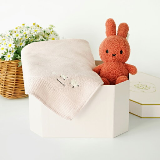 Miffy リサイクルテディ(テラコッタ)コットンワッフルケットとおむつボックスセット (おしゃれ かわいい プレゼント ベビー ボントントイズ 女の子 男の子 赤ちゃん ぬいぐるみ ミッフィ− ミッフィ コーデュロイ 誕生日 出産祝い 赤色) Miffy リサイクルテディ(テラコッタ)コットンワッフルケットとおむつボックスセット (おしゃれ かわいい プレゼント ベビー ボントントイズ 女の子 男の子 赤ちゃん ぬいぐるみ ミッフィ− ミッフィ コーデュロイ 誕生日 出産祝い 赤色)