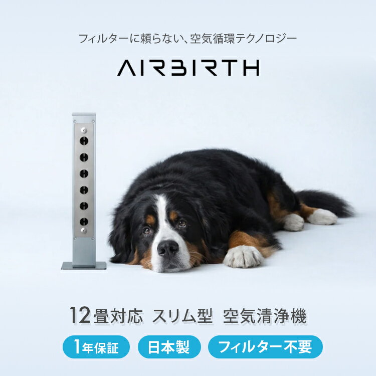 樂天商城 - AIRBIRTH AB-6T スリム型12畳タイプ 空気清浄機 エアーバース オゾン マイナスイオン フィルター不要 簡単メンテナンス 静音 省エネ 日本製 小型 コンパクト 匂い 消臭 部屋干し 花粉 カビ ほこり タバコ 生ごみ インテリア家電 【ポイント2倍】