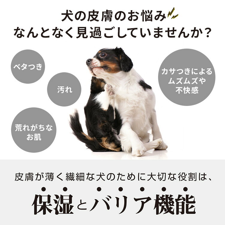 Wanpoo 2L ワンプー 犬用 シャンプー ペット用シャンプー ペット ドッグ 日本製 ア...