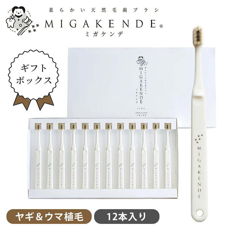 ● 歯ブラシに慣れてきたわんちゃんに。 毎日の歯磨き習慣に「ヤギ毛＆ウマ植毛 歯ブラシ 12本セット」 肌当たりのやさしい超やわらかなヤギ毛でしっかりコシのあるウマ毛を覆うように植毛。 ウマ植毛への移行のステップアップとしてお試しください。 ナイロン毛特有のチクチク感がなく、まるで撫でられているかのようなふんわりとした心地よい肌あたりを実現しました。 一般的な歯ブラシよりも約5〜10倍の毛量を高密度に植毛しているため、力を入れずに優しくブラッシングするだけでお口の中の汚れにアプローチできます。 毎日のデンタルケアを習慣化するのに最適な、たっぷり使える12本セットでお届け。 ギフトボックス入りなので、大切な方へのプレゼントにも最適です。 歯磨きデビューに！「ヤギ植毛 12本入りギフトセット」 【ご購入はコチラ】 商品詳細 サイズ（約） 【歯ブラシ】 全長：縦149mm×横14mm×奥行12mm ヘッド部分：幅8mm×縦16mm 毛の長さ：6.5mm 【ギフトボックス】 幅308mm×縦167mm×奥行22mm 素材 柄の素材：ポリプロピレン 毛の素材：天然毛 生産地 日本 お手入れ方法 ・毛量が多いため、洗浄後はしっかり水を切り、よく乾燥させてください。 ・ドライヤーの熱にも耐えますが、風通しの良いところで自然乾燥がおすすめです。 ・熱湯消毒、アルコール消毒は可能ですが、口に入れても良いもので行ってください。 ・洗剤や漂白剤のご使用は避けてください。 ・天然毛の性質として一度広がった毛でも乾燥させると元に戻りますが、毛先が痛んだり、落ちない汚れが溜まってしまう、毛量が減ってくるなど、歯ブラシの状態を見て1ヶ月程度を目安に交換してください。 ご使用上の注意 ・幼児の手の届かないところに保管してください。 ・ご使用に伴い毛は摩耗致します。また素材の特性上、抜毛・折毛が発生しますが問題ありません。 ・ご使用後はしっかりと水けをとり、風通しの良い場所で保管してください。 広告文責 Local Design株式会社 08069531884 注意事項 ※商品の色はモニターの具合で実物と若干異なる場合がございます。予めご了承下さい。 ※デザイン、仕様等につきましては、予告なく変更する場合がございます。 関連ワード：ミガケンデ/MIGAKENDE/犬用歯ブラシ/ペット用歯ブラシ/オーラルケア/歯みがき/歯ぶらし/小型犬用/天然毛歯ブラシ/ヤギ毛/ウマ毛/山羊/馬/柔らか/やわらかめ/しっかり/固め/ミックス/混合/慣れてきた頃に/毎日のケア/ステップアップ/極細毛/天然毛/歯みがき嫌い/デンタルケア/オーラルケア/お口のケア/口内ケア/歯磨きトレーニング/パピー/シニア犬/超小型犬/チワワ/トイプードル/ポメラニアン/愛犬用/デンタルハブラシ/天然素材/国産歯ブラシ/日本製/職人技/創業70年/痛くない/嫌がらない/歯ぐきにやさしい/毛量たっぷり/まとめ買い/12本セット/ストック用/毎日のケア/ペット用品/犬の歯みがき/ギフトセット/箱入り/化粧箱/贈り物/ギフトボックス/プレゼント/新築祝い/新生活/結婚祝い/引っ越し祝い/10代/20代/30代/40代/50代/60代/70代
