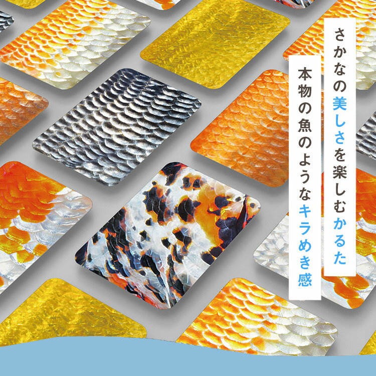 【クーポン発行中】【正規販売店】千葉印刷 さかなかるたプラス 金魚版 桜 葵 かの...