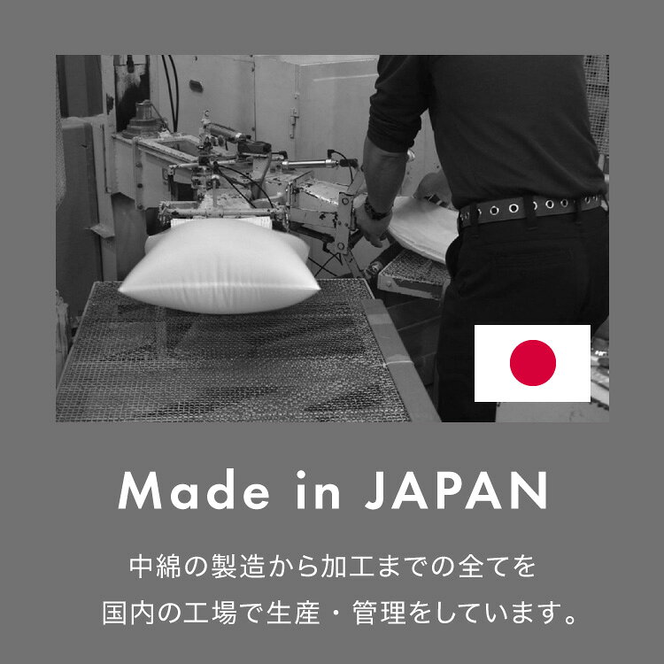 ヌードクッション 45×45cm 4個セット 4p 東レ ft綿 圧縮梱包 コンパクト 日本製 国産 洗える 洗濯 手洗い ウォッシャブル インナー ポリエステル 背もたれ 4set インテリア シンプル ベーシック 寝具【送料無料】 [2]