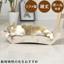 爪とぎ 猫 動物病院の先生がお勧め ソファ型 ダンボール かわいい 段ボール 頑丈 ガリガリ ねこ つめとぎ ペット用品 ベッド 爪研ぎ(代引不可)【送料無料】