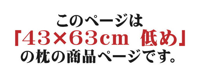 ほこりの出にくい枕 43×63cm 低め 国産 中空ポリエステル綿 洗える 手洗い 枕 まく...