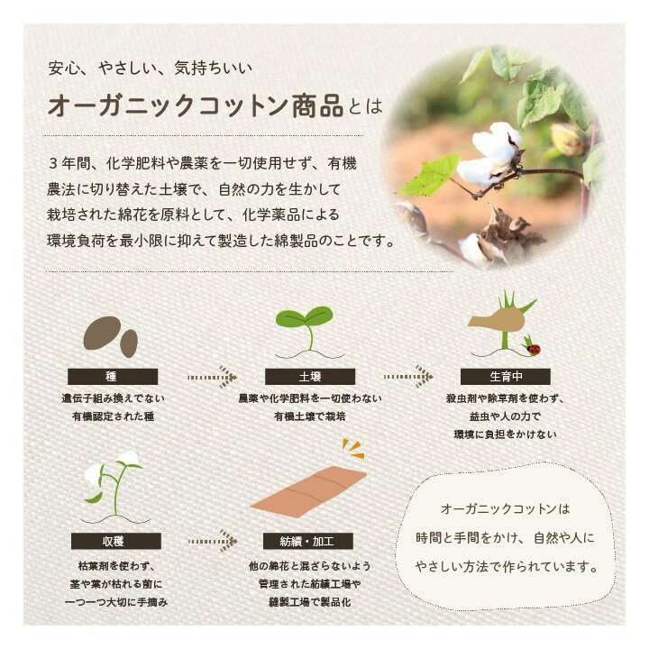 クッション 四角 厚い 持ち運び 日本製 オーガニックコットン 綿100% 無地 洗える 座布団 約40×40cm イエロー クララ(代引不可)【送料無料】