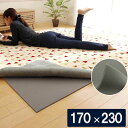 滑り止めシート ウレタン ふんわり クッション性 ボリューム 滑りにくい フリーカット グレー 約170×230cm ごろりんピタッと(代引不可)【送料無料】(3)
