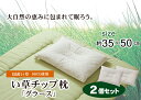 ピロー 国産い草チップ入り グラース 2個組 約35×50cm(代引不可)【送料無料】