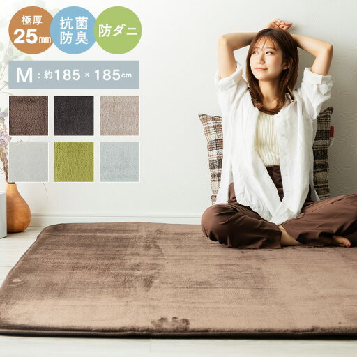 洗える オールシーズン 極厚ラグ 185×185 2畳 厚み25mm 防ダニ 抗菌防臭 超極細フランネル ラグマット 滑り止め付 マット ラグカーペット 夏 冬 カーペット(代引不可)【送料無料】 洗える オールシーズン 極厚ラグ 185×185 2畳 厚み25mm 防ダニ 抗菌防臭 超極細フランネル ラグマット 滑り止め付 マット ラグカーペット 夏 冬 カーペット(代引不可)【送料無料】