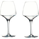 シェフ ソムリエ プロテイスティング ペアワイン オープンナップ ガラス製品 ガラスカップ ワイン2客 U1008P(代引不可)