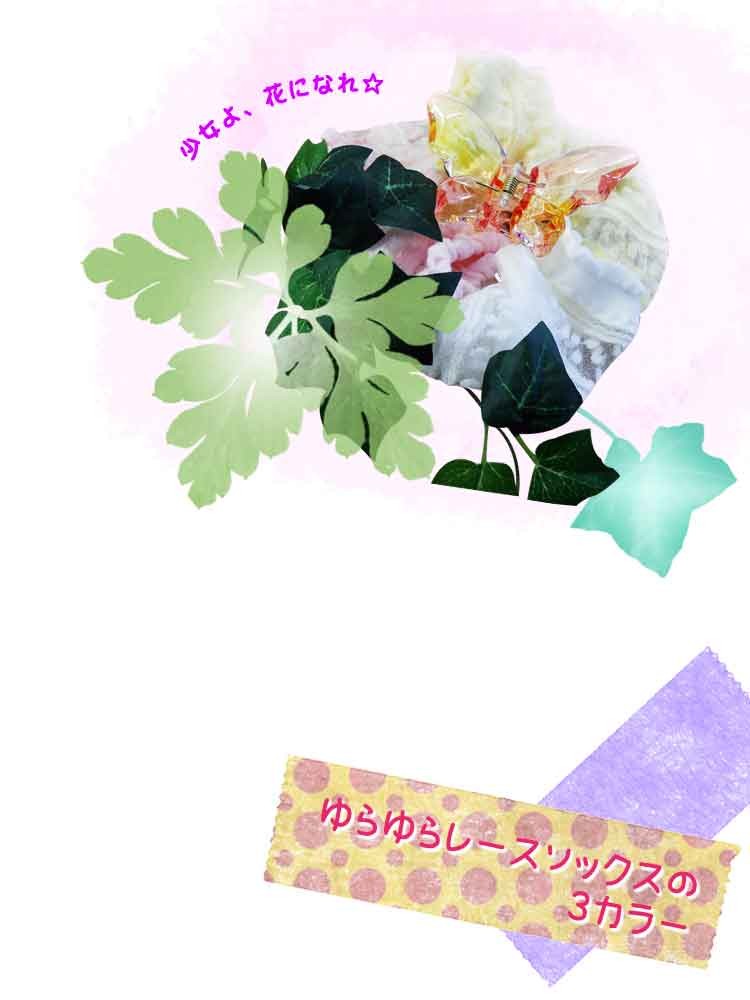 靴下 ソックス レディース シン プル 夏 大人可愛い靴下なら間違 いなくこ れ 3