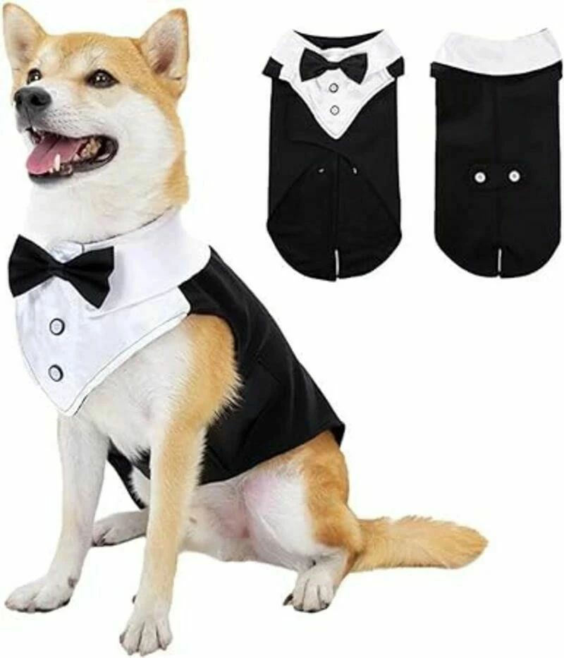 犬服 洋服 タキシード 中型犬 大型犬 紳士服 おしゃれ 柴犬 ダックス ゴールデンレトリバー ピットブル