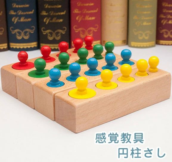 入園 おもちゃ 幼児教材 教材 早期 幼児 ソケット式 感覚教具 4本セット モンテッソーリ 知育玩具 おもちゃ 色認識