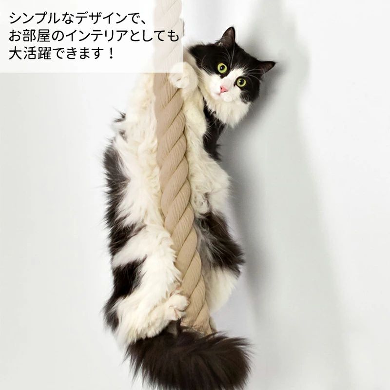 【中古】伝説のクイズ王決定戦