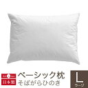 ベッド専門店-THE BED ROOM提供 インテリア・収納・寝具通販専門店ランキング18位 ベーシック枕 そばがらヒノキ Lサイズ(50×70cm) ベッド専門店-THE BED ROOM提供 インテリア・収納・寝具通販専門店ランキング18位 ベーシック枕 そばがらヒノキ Lサイズ(50×70cm)
