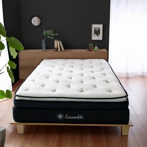 zari14274.jpg zari14274.jpg