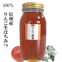 SUPER-OFF50%OFF半額【限定販売2024年産】はちみつ 国産 非加熱 無農薬 りんご 生蜂蜜 1kg リンゴ 生はちみつ 1000g 信州産100%...