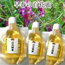混ぜ物無し 国産 非加熱 生 はちみつ 100gx3個 百花 生蜂蜜【春の百花蜜】春の生命エネルギーあふれる生蜂蜜 希少・・売り切れ御免 健康生蜂蜜 ヘアリーベ...