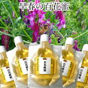SS【蜜蜂ブレンド】国産 非加熱 生はちみつ 信州産 100% 百花蜜 【早春の生蜂蜜】100gx5個 春の生命エネルギー満タン 希少・・売り切れ御免 健康生蜂...