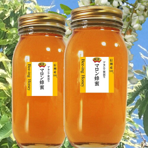 はちみつ 国産 信州 マロン 蜂蜜1kgx2（2000g） 無農薬 栗ハチミツ 信州産100％【ミツバチがブレンド アカシア混じりの百花蜜 風味抜群】のサムネイル