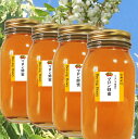 【9月中旬発送】はちみつ 国産 信州 マロン 蜂蜜1kgx4(4000g) 無農薬 栗ハチミツ 信州産100%【ミツバチがブレンド アカシア混じりの百花蜜 風味抜群】