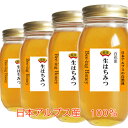 SS【2023年産】生はちみつ 国産 非加熱 無農薬 日本アルプス産100％ 百花蜜 生蜂蜜1kgx4 ギボウシ・シナの木・菩提樹・モチの木・エンジュ・タラの木・ウドなど 自然の花の風味 超レアの生ハチミツ