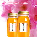 SS【出荷は9月中旬】【2025年産新蜜】出会えなかった本物のさくら蜂蜜 生 はちみつ 国産 非加熱 無農薬 送料無料 ギフト 信州 無農薬 1kgx2本 信州...