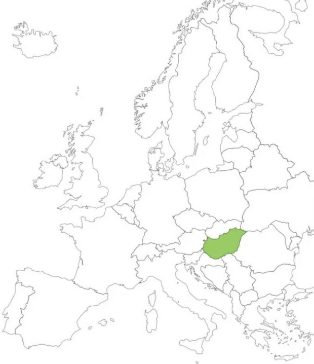 SUPER-�ݥ����20�� �Τ����ʼ� �ϥ󥬥꡼����������˪̪100gx5 �����ܹ񻺴�� ���⸡����ʬ��ɽź�ա�����ޡ����ꥳ�����ȡ����� �Ը���=�¿����������ܴ��򤷤ä��ꡪ=���줬�ӡ������ʼ�������