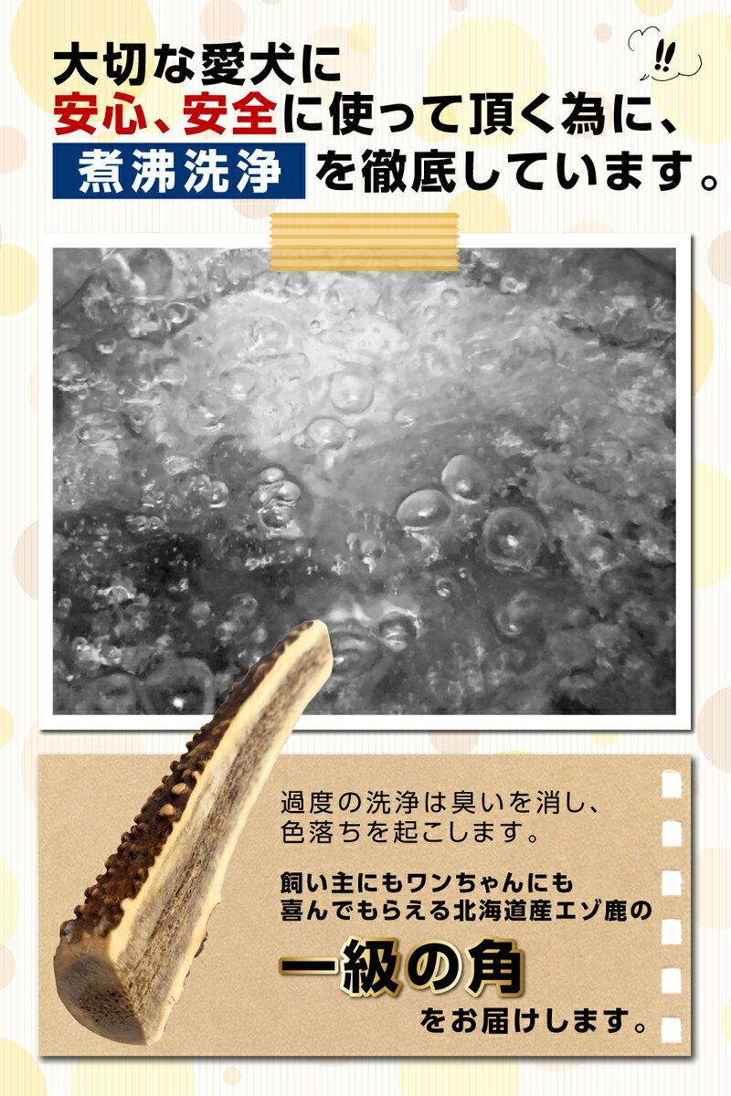 大事な家族だからいい物をあげたい 選ばれる鹿の角 半割り 15cm 2個セット 鹿の角 犬のおもちゃ 犬のおやつ 無添加 ガム 国産 ドッグガム ペットグッズ ドッグフード 鹿角 角ガム 口臭対策グッズ エゾシカ鹿角 しつけ いたずら 甘噛み防止 ワンダー 通販 激安