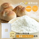 米粉 パン用 パン用米粉 ミズホチカラ 2kg グルテンフリー 国産 米粉パン 無添加 低GI ホームベーカリー 【送料無料】