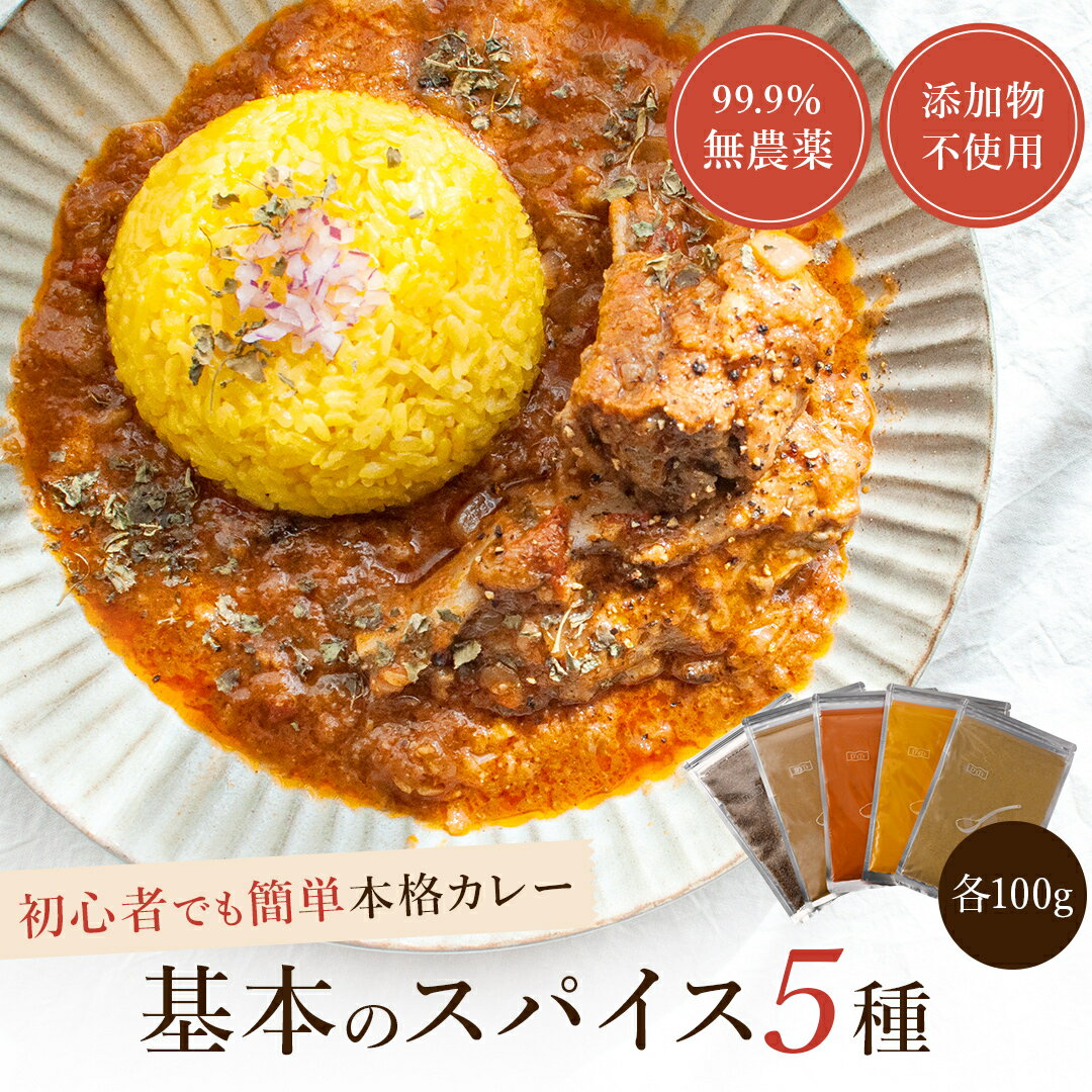 D'sTs スパイス カレー クミンシード 