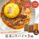 D'sTs スパイス カレー ターメリック クミンパウダー コリアンダーパウダー カレー粉 無添加 100g 3種セット