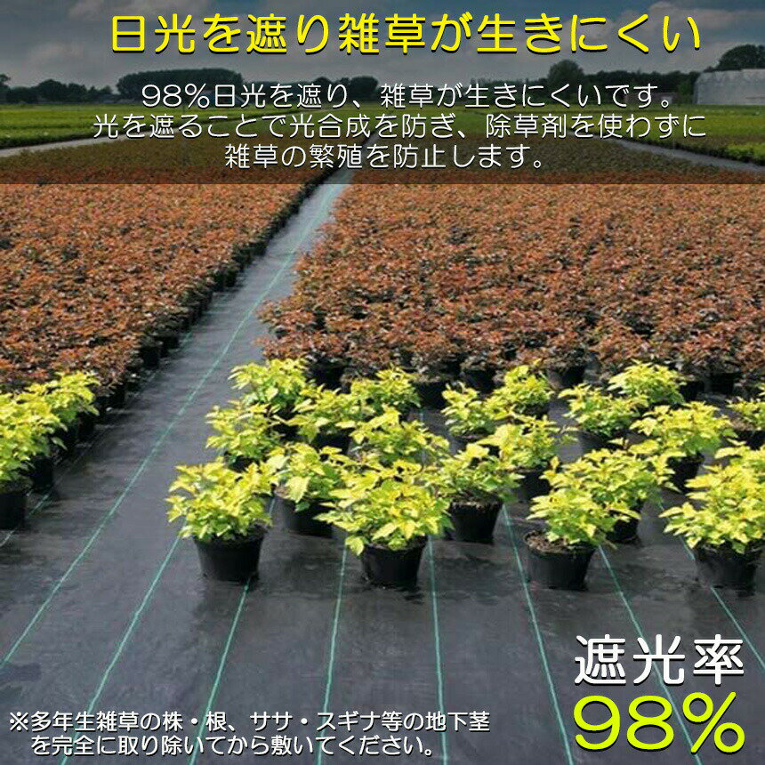 ★期間限定！ポイント5倍★防草シート 10m X 2m 除草シート 園芸用シート 雑草シート...