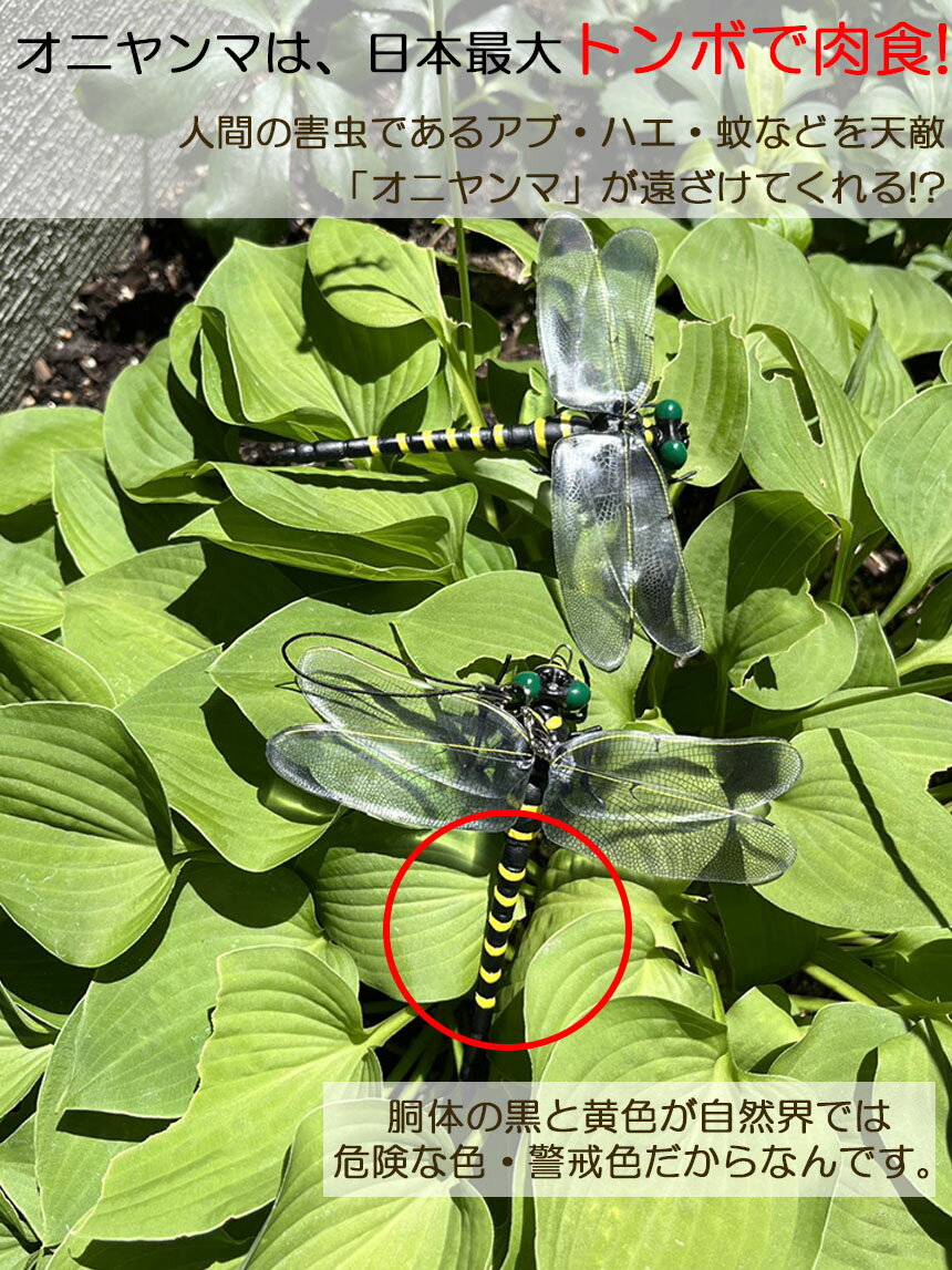 ★期間限定！ポイント5倍★オニヤンマ 虫除け 虫対策 安全ピン付き ストラップ付き 4...