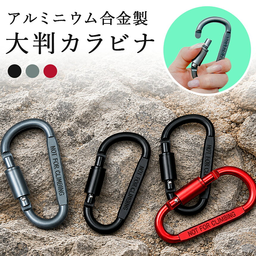 カラビナ D型 ネジロック付き 大きめ フック ロック 固定 吊り下げ Dリング キーホ...