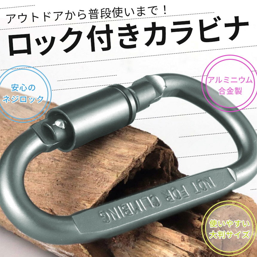 カラビナ D型 ネジロック付き 大きめ フック ロック 固定 吊り下げ Dリング キーホ...