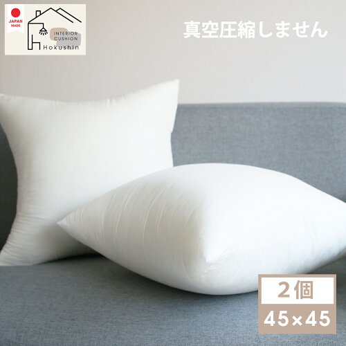 45×45 2個セットヌードクッション 肉厚 45×45 2個セット 日本製 東レF...