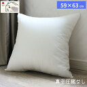 ヌードクッション 肉厚 59×63 日本製 東レFT綿使用 クッションカバー用 クッション 中身 セアテ 背当て 佐川またはヤマト便