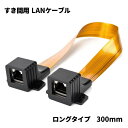 すき間用 LANケーブル 中継 延長 フラットケーブル 隙間 すきま cat5 RJ45 100BASE-TX 100Mbps LAN端子 30cm ポイント消化 おすすめ 送料無料 