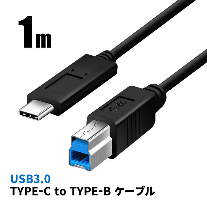 USB3.0 ケーブル TYPE-C to TYPE-B 1m 591031 