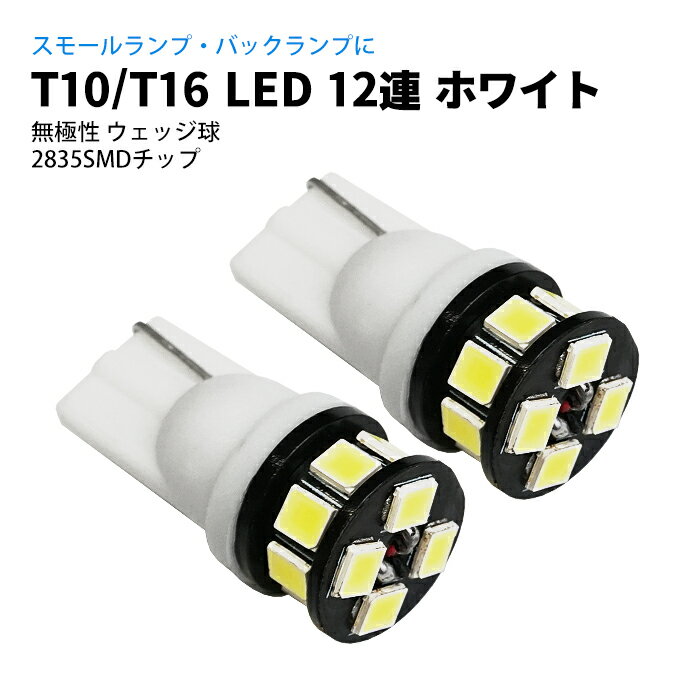 T10 / T16 LED 12Ϣ ݥ / ⡼ / ʥС / 롼饤 ۥ磻 /  å 2835SMD LEDХ   ݥȾò  ̵ ڥͥݥȯ