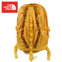ノースフェイス リネージュ バックパック 29L THE NORTH FACE 90s DAYPACK LINEAGE TNF YELLOW
