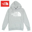 ノースフェイス ビッグロゴ ハーフドーム フーディー THE NORTH FACE Half Dome Logo Hoodie ライトグレー