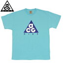 ナイキ ルーズフィット ACG Tシャツ NIKE LOOSE FIT ACG TEE CV1532-450