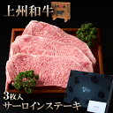 牛肉 ギフト サーロインステーキ 750g 上州和牛 贈答用 化粧箱入 黒毛和牛 A4A5ランク 250g×3枚 御祝 国産牛 ブロック送料無料 お年賀 人気 ランキング上位 誕生日 出産内祝い お肉ギフトのBeeft