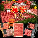 肉セット 福袋 牛肉 肉 上州牛 肉屋の本気 福袋 1.2kg 肉おせち 1kg超 セット ローストビーフ 焼き肉 すき焼き 詰め合わせ 送料無料 ギフト 贈り物 通販 冷凍食品 焼肉 お肉ギフトのBeeft