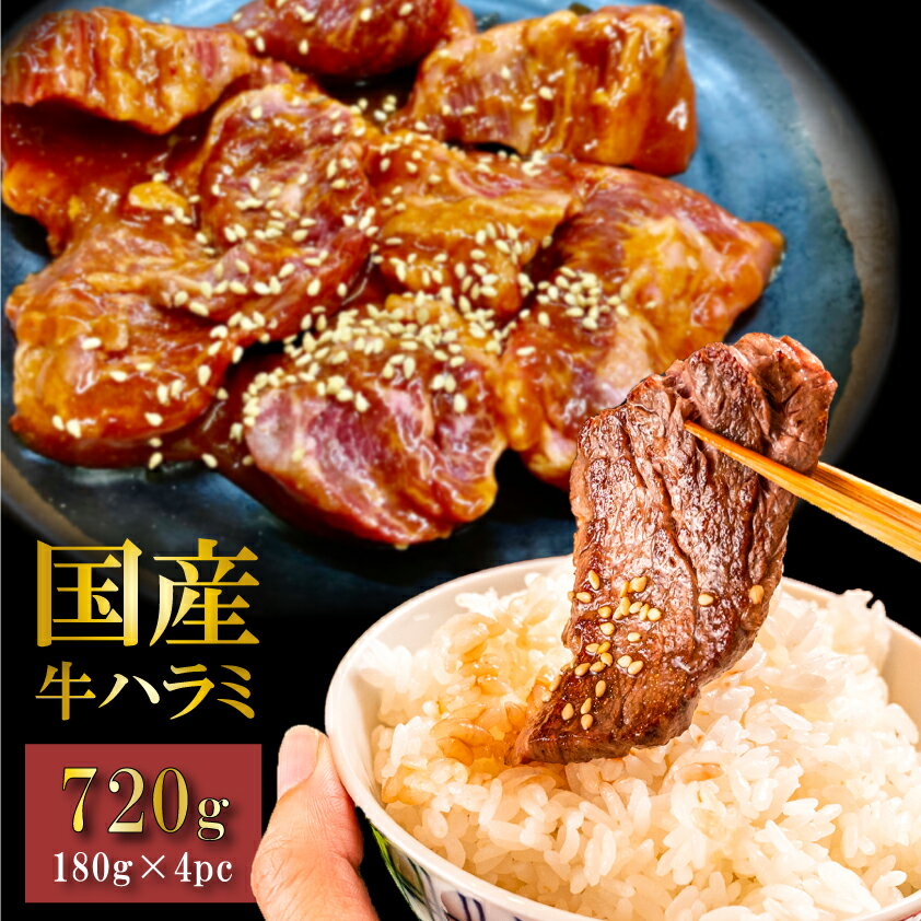 希少な国産牛ハラミ 焼肉用 720g 送料無料 180g × 4パック 牛肉 焼き肉 やわらか加工 たれ漬け BBQ バーベキュー 焼き肉 ホルモン焼き はらみ 和牛 訳あり お肉ギフトのBeeft